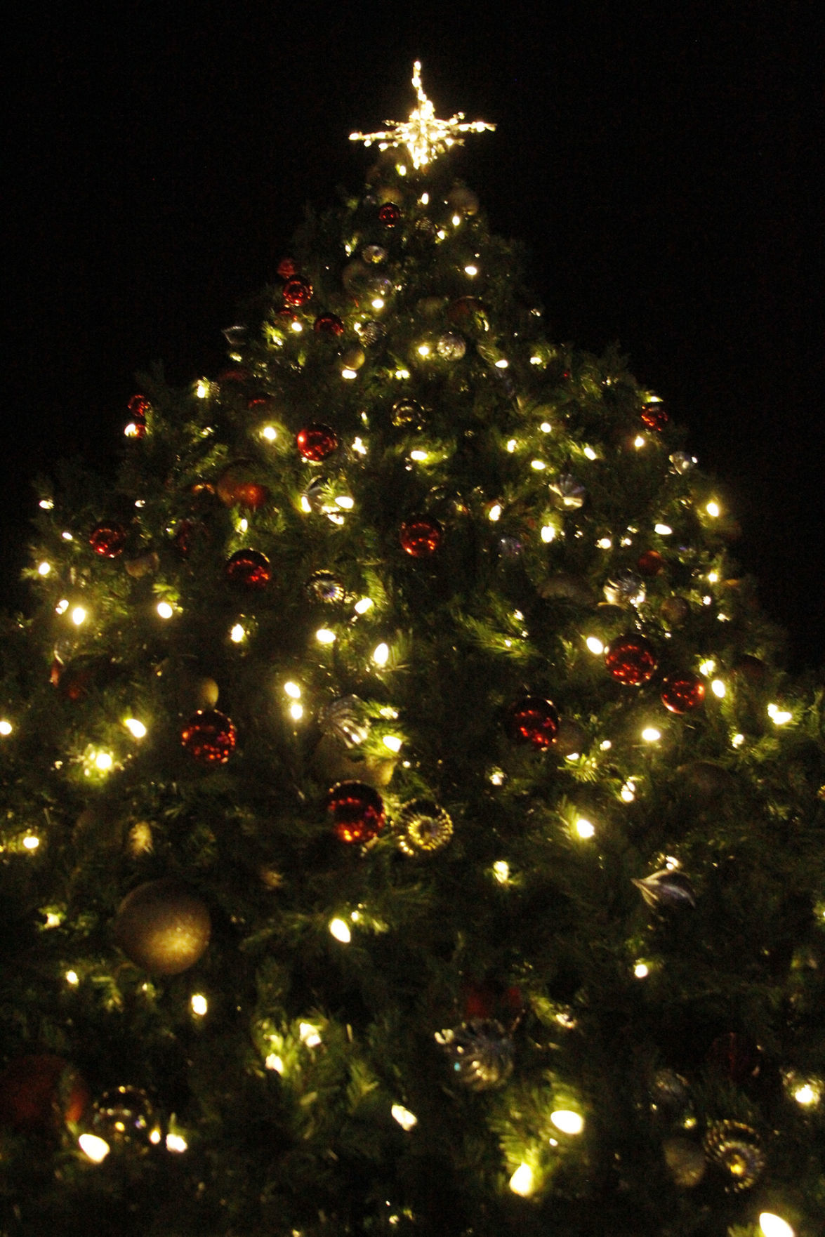 Christmas tree lighting
